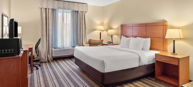 舒适酒店-大都会机场(Comfort Inn Metro Airport)图片