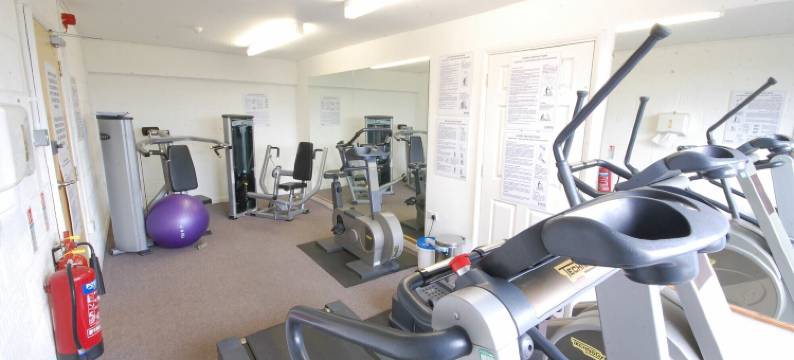 布莱思维的藏红花(Saffron, Blythview)图片