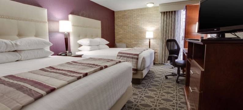 圣安东尼奥机场德鲁里广场酒店(Drury Plaza Hotel San Antonio Airport)图片