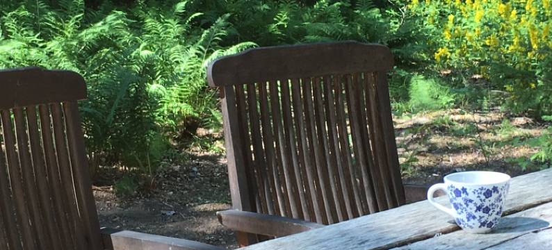 里尔卡尔森酒店(Lille Carlsson)图片