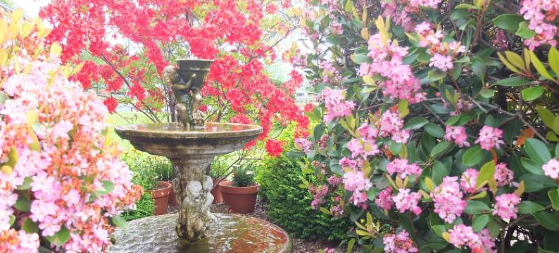 克罗尼尔庭院汽车旅馆(Colonial Court Motel)图片