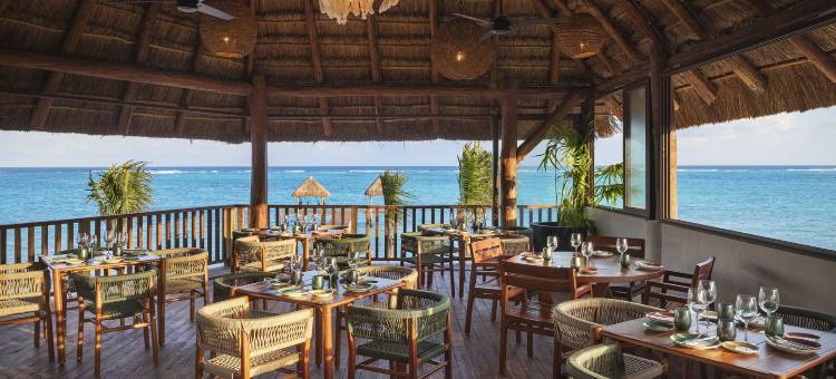 尼雷亚图兰(Nerea Tulum)图片