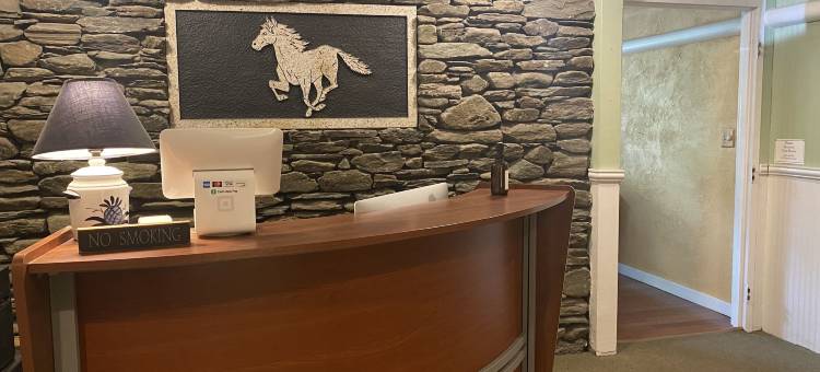 白马旅馆(White Horse Lodge)图片