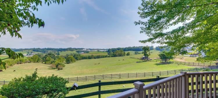 阿米什乡村度假屋，享牧场景观！(Amish Country Getaway w/ Pastoral Views!)图片