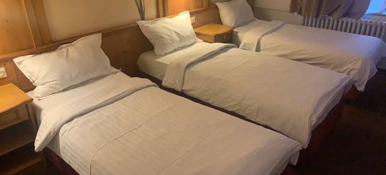 布兰尼克酒店(Hotel Braník)图片