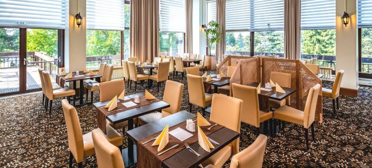 阿尔滕堡枫叶沃德酒店(Ahorn Waldhotel Altenberg)图片