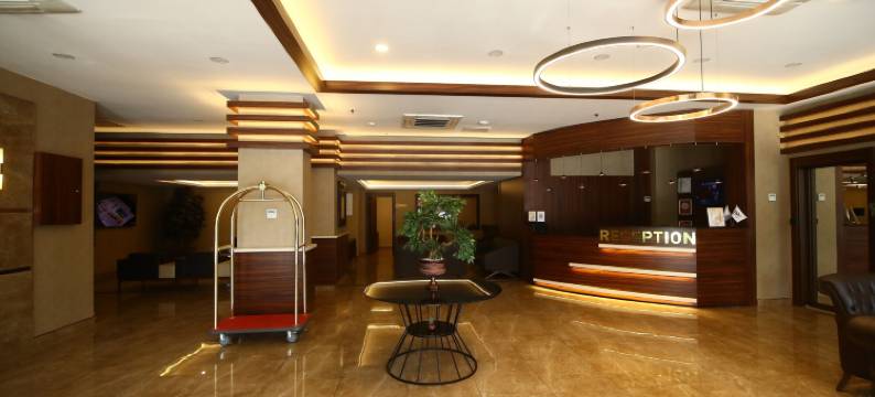 安卡拉排球酒店(Volley Hotel Ankara)图片