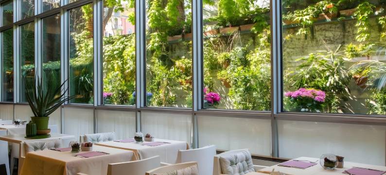 布莱丝法兰西斯酒店(Hotel Blaise & Francis)图片