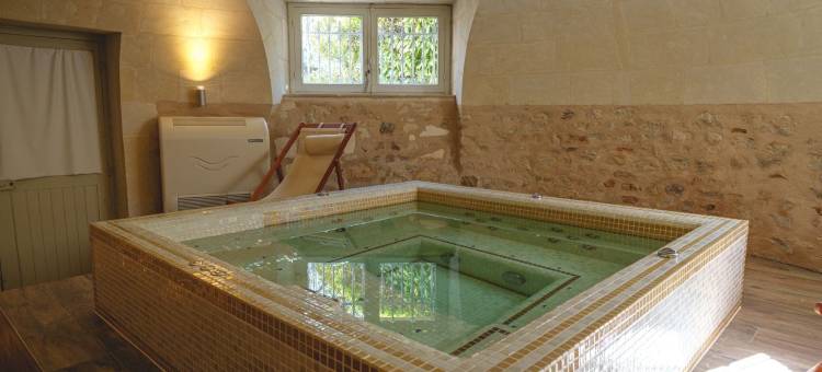 洛尔河的康特斯夫人城堡及温泉(Château La Comtesse de Loire & Spa)图片