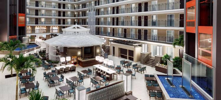 希尔顿旗下奥兰多布埃纳维斯塔湖度假村大使套房酒店(Embassy Suites by Hilton Orlando Lake Buena Vista Resort)图片