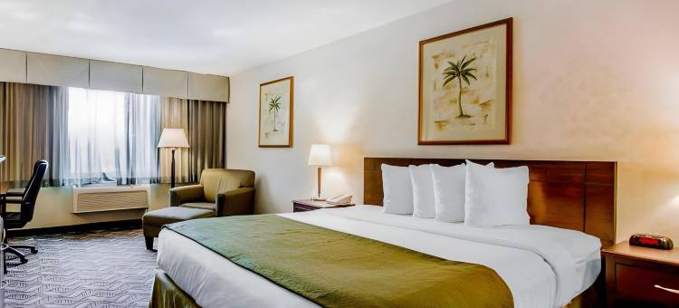 洛杉矶蒙特贝洛品质酒店及套房(Quality Inn & Suites Montebello - Los Angeles)图片