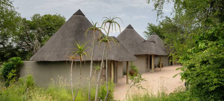 Leopard Sands, Kruger Park图片