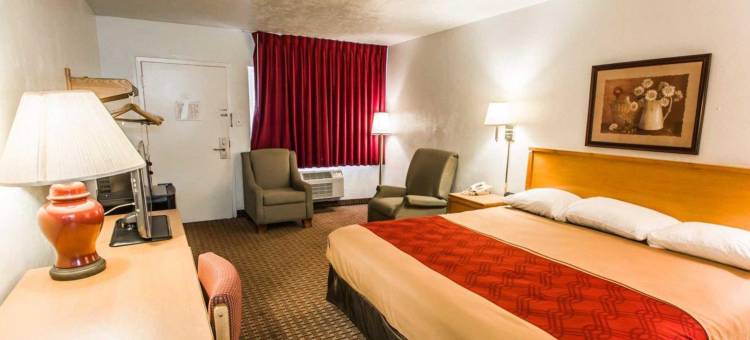 Regency旅馆(Travelodge by Wyndham Gainesville)图片