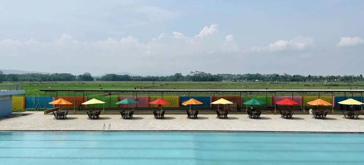 Miami Guest House图片