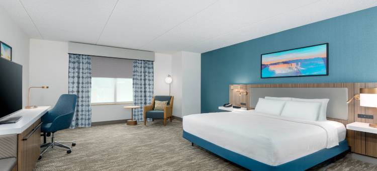 客栈水牛城机场希尔顿花园酒店(Hilton Garden Inn Buffalo Airport)图片