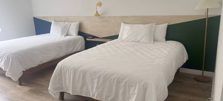 金奥斯卡汽车旅馆(The Varsity Inn North)图片