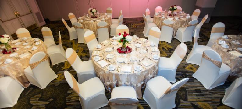 北阿纳海姆希尔顿安泊酒店(Embassy Suites by Hilton Anaheim North)图片