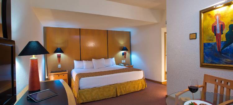 瓜达拉哈拉广场执行(Hotel Guadalajara Plaza Ejecutivo)图片