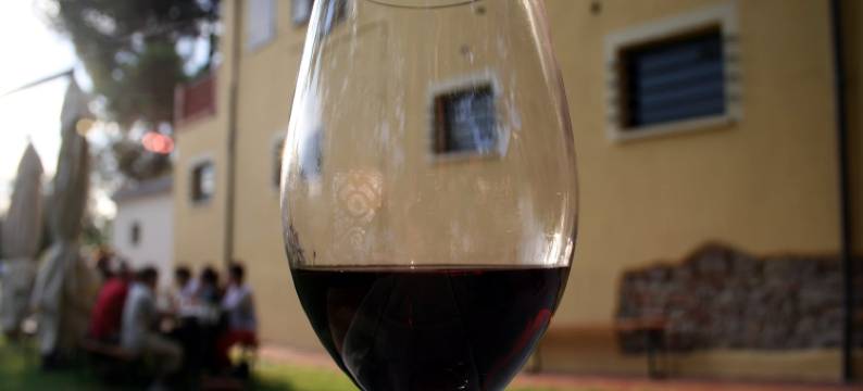 Hillside Stay in Montecolombo图片