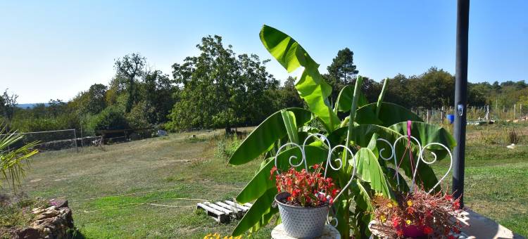 Tranquil Escape in Dordogne图片