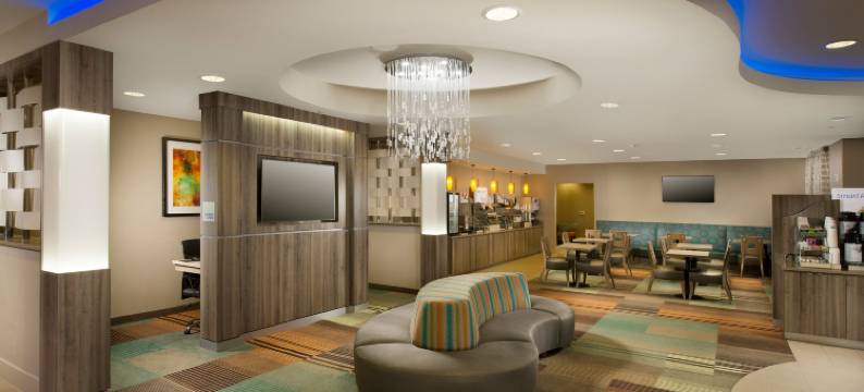 Holiday Inn Express & Suites DFW -葡萄(Holiday Inn Express & Suites DFW AIRPORT - GRAPEVINE by IHG)图片