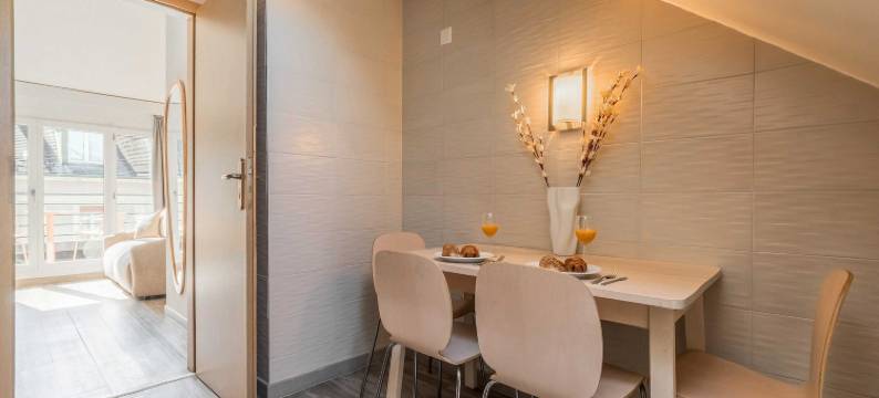 Cosy Studio -AC- 4P- Geneva图片