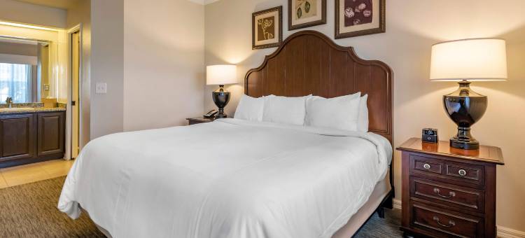 希尔顿度假俱乐部圣奥古斯丁(Hilton Vacation Club St Augustine)图片