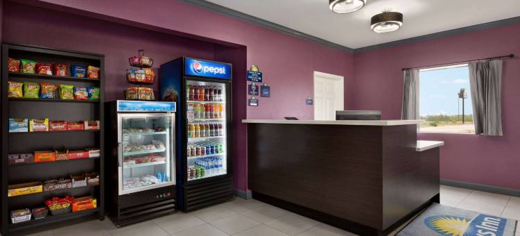 奥德萨戴斯酒店(Days Inn by Wyndham Odessa)图片