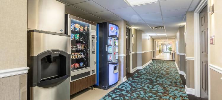 塞巴斯蒂安贝斯特韦斯特优质套房酒店(Best Western Plus Sebastian Hotel  Suites)图片