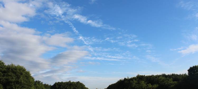 纽卡斯尔乔治华盛顿美居高尔夫水疗酒店(Mercure Newcastle George Washington Hotel Golf & Spa)图片