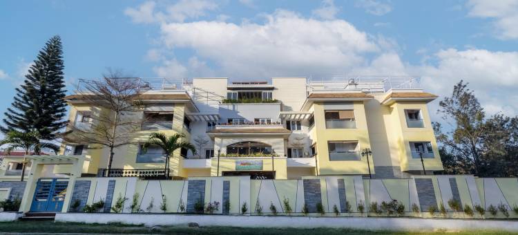 翡翠鸽(Treebo Premium Emerald Dove)图片