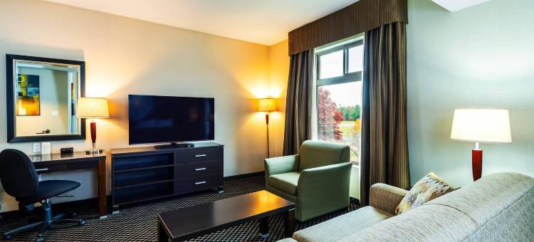 彼得华华品质酒店及套房(Quality Inn & Suites)图片