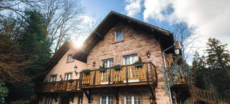 Hôtel & Spa les Violettes图片