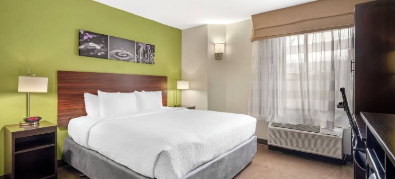 巴吞鲁日东I-12舒眠酒店(Sleep Inn Baton Rouge East I-12)图片