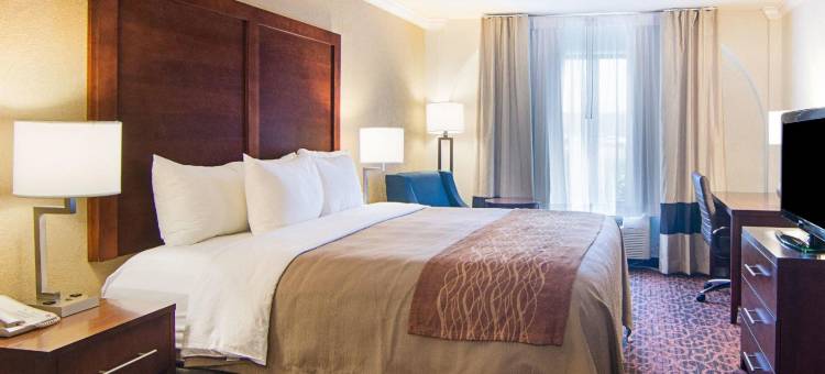 休斯顿基-卡蒂舒适套房酒店(Comfort Inn & Suites Houston West-Katy)图片