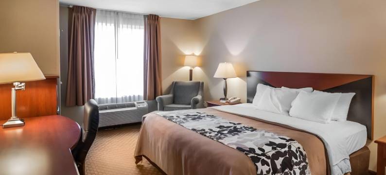 罗德威套房旅馆(Rodeway Inn & Suites)图片