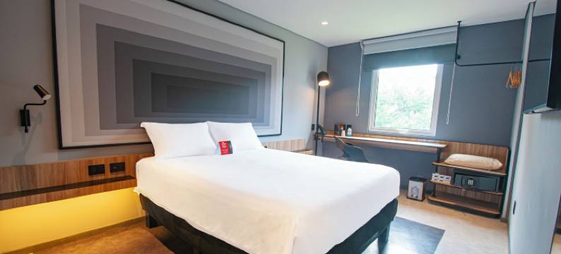 宜必思蒙特雷机场酒店(Ibis Monterrey Aeropuerto)图片