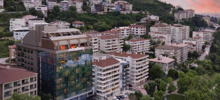 瑞享温泉水疗酒店(Mövenpick Bursa Hotel and Thermal Spa)图片