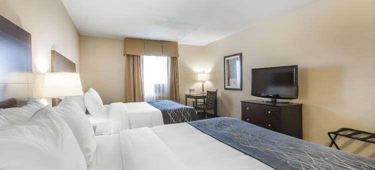 舒适酒店(Comfort Inn - Gander)图片