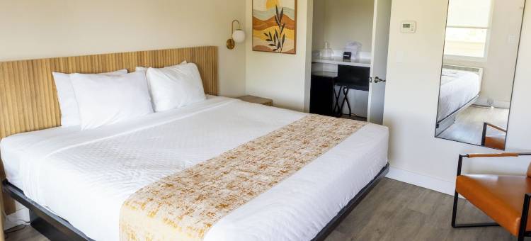 阿尔卡拉使命谷海洋世界酒店(The Alcala Hotel Mission Valley Seaworld)图片