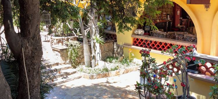精选 O 卡波圣卢卡斯贝拉之家精品酒店(Collection O Casa Bella Hotel Boutique, Cabo San Lucas)图片