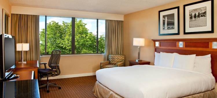 巴尔的摩北派克斯维尔希尔顿逸林酒店(DoubleTree by Hilton Baltimore North - Pikesville)图片
