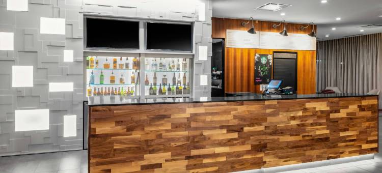 东兰辛奥克莫斯万豪万怡酒店(Courtyard East Lansing Okemos)图片