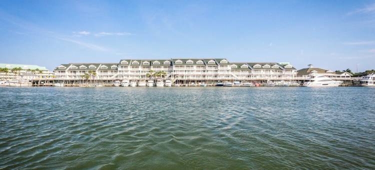 Holiday Inn & Suites 清水湾泳滩南(Holiday Inn & Suites CLEARWATER BEACH S-HARBOURSIDE by IHG)图片