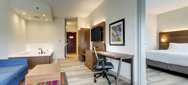 奥罗拉智选假日套房酒店-内珀维尔(Holiday Inn Express & Suites AURORA - NAPERVILLE by IHG)图片