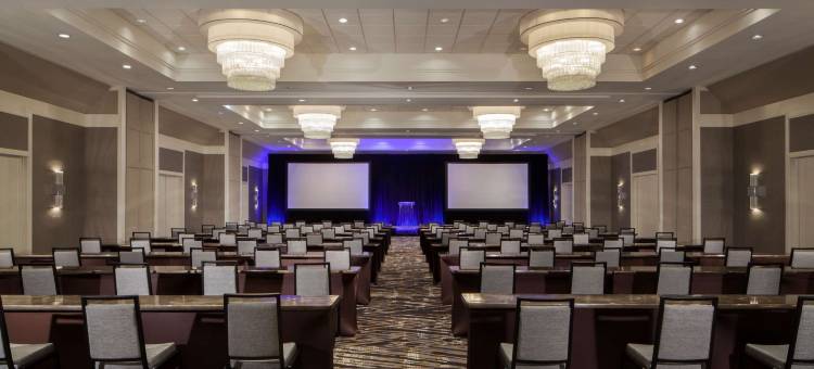 坦帕机场西岸希尔顿酒店(Hilton Tampa Airport Westshore)图片