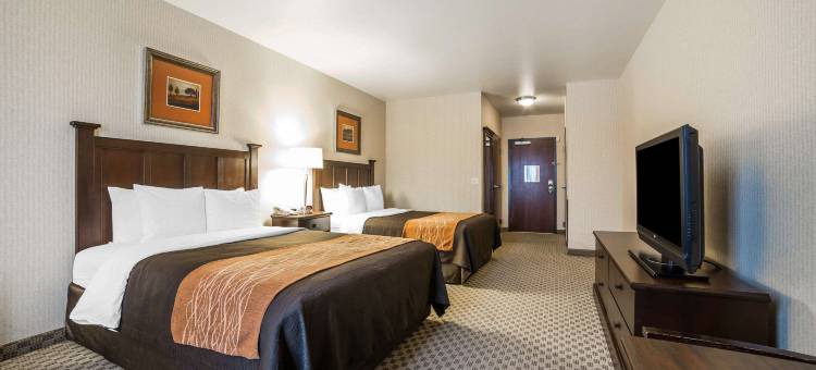 拉斯维加斯亨德森舒适套房酒店(Comfort Inn & Suites Henderson - Las Vegas)图片