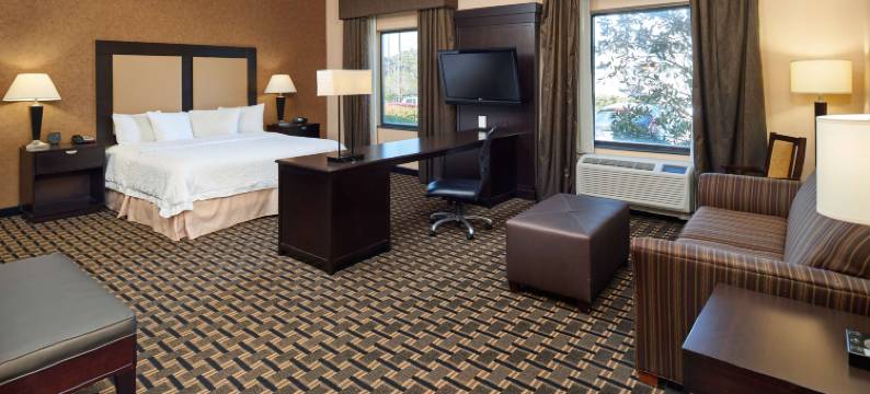 朗维尤北欢朋套房旅馆(Hampton Inn & Suites Longview North)图片
