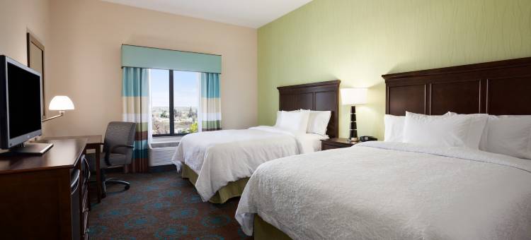 希尔顿欢朋酒店-洛杉矶国际机场霍索恩(Hampton Inn Los Angeles Int'l Airport/Hawthorne)图片