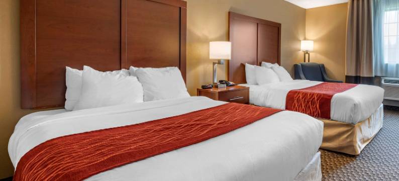 舒适套房酒店(Comfort Inn & Suites Napoleon)图片